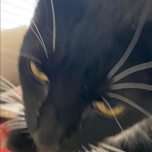 Meet your Posher, Keke